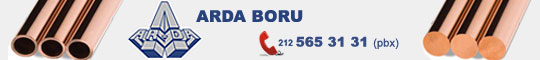 Bakr Boru